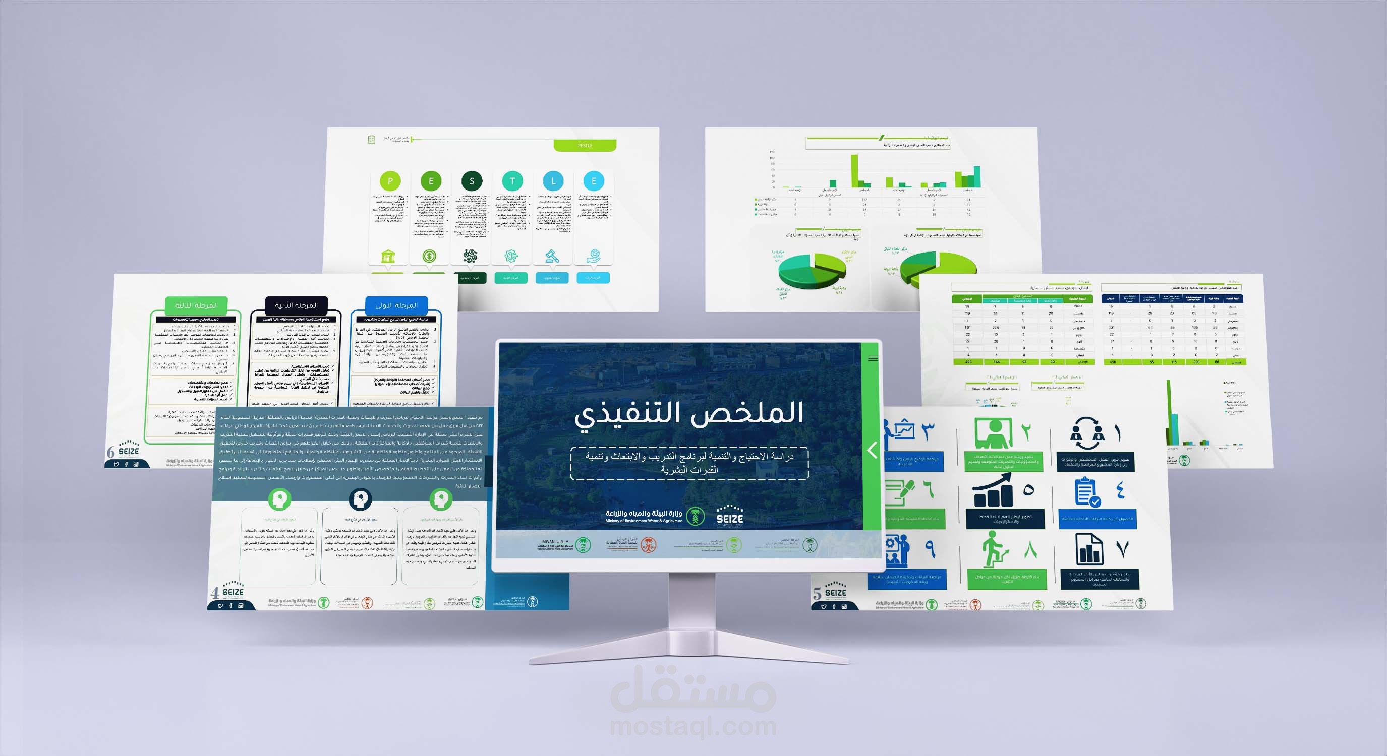 تصميم ملخص تنفيذي