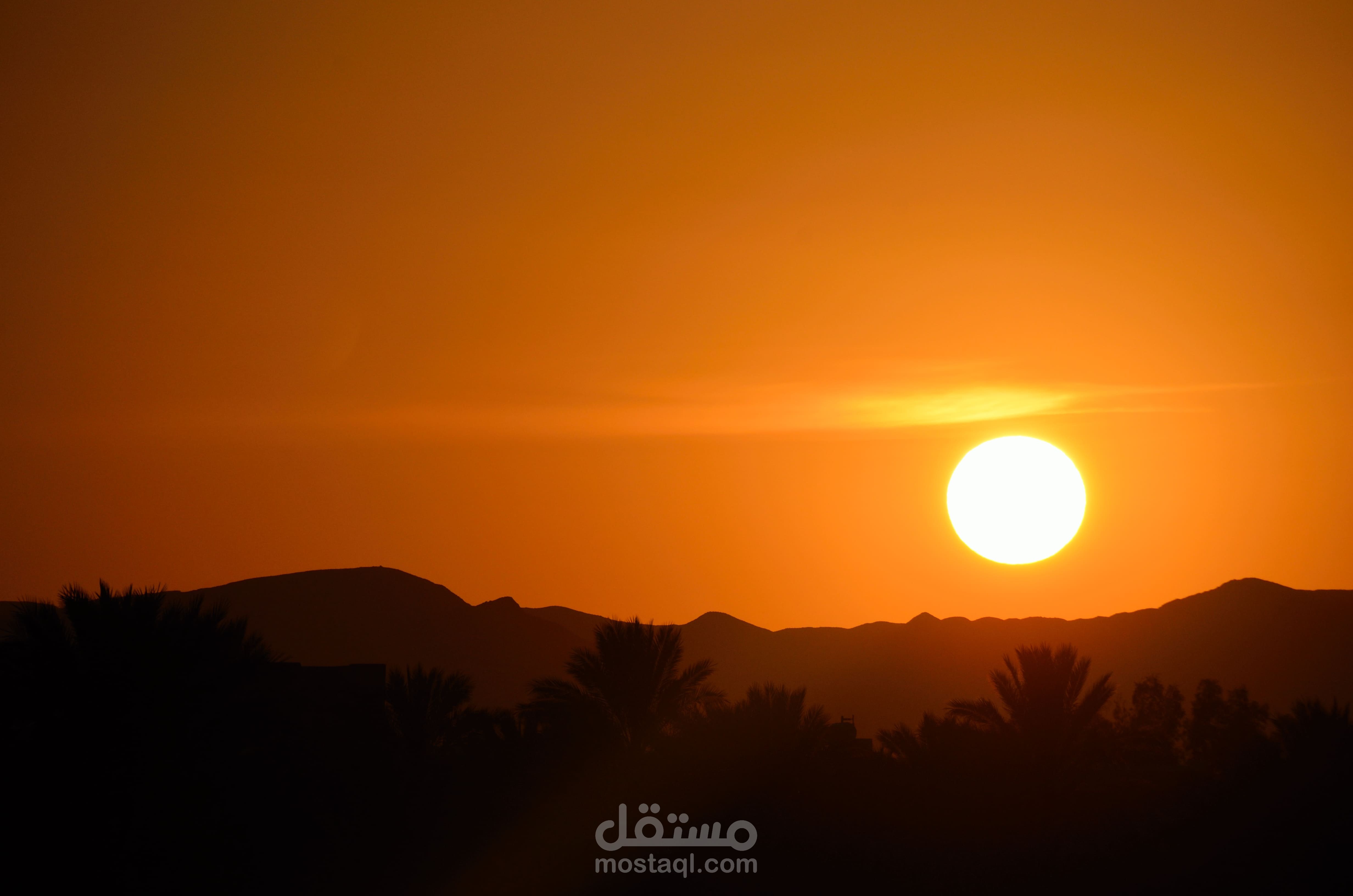 مجموعة مقالات باللغة الفرنسية لشركة  سياحية