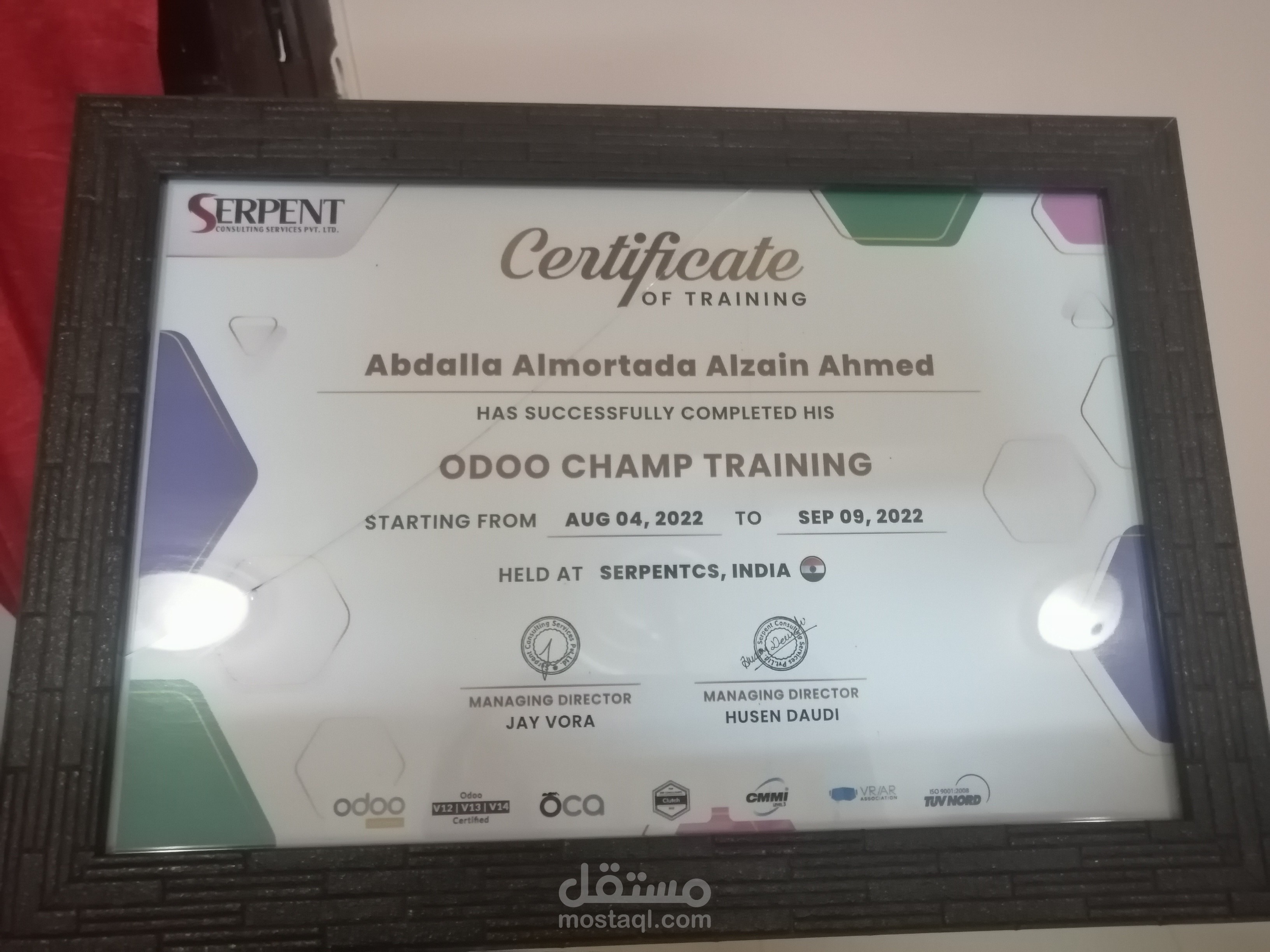 Odoo functional consultant