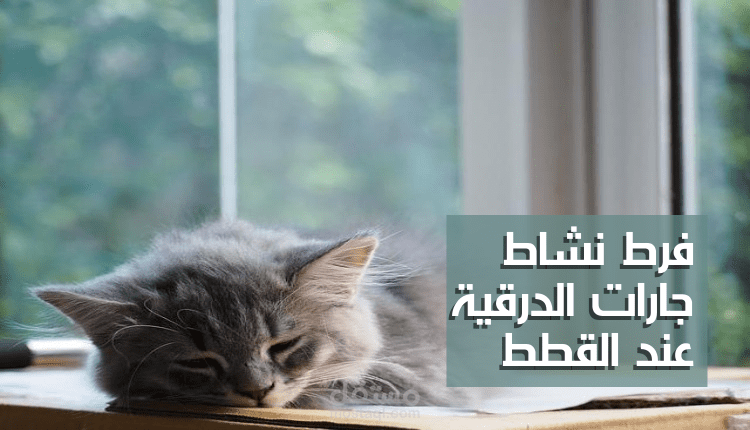 كتابة مقال متوافق مع السيو عن فرط نشاط جارات الدرقية