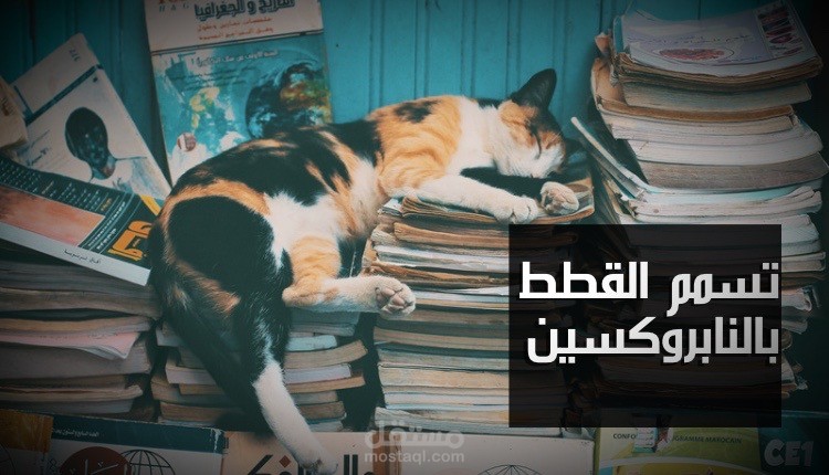 كتابة مقال اونلاين