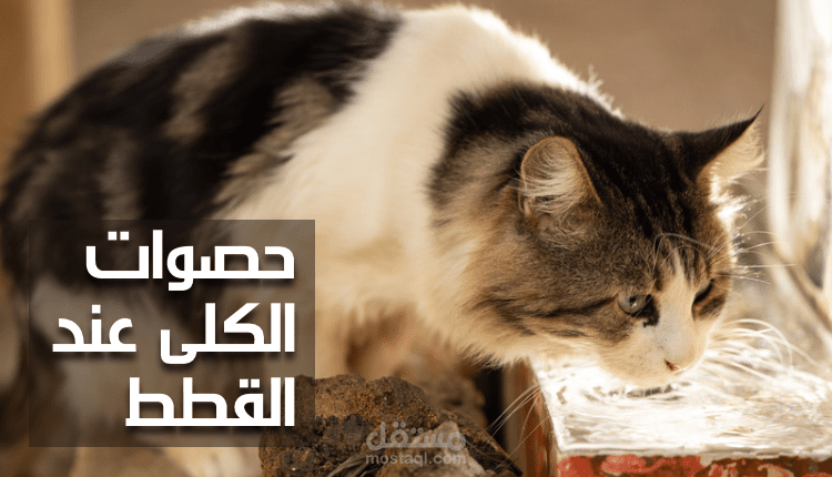 كتابة مقال اونلاين