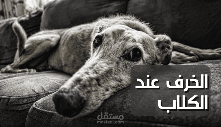 كتابة مقال متوافق مع السيو