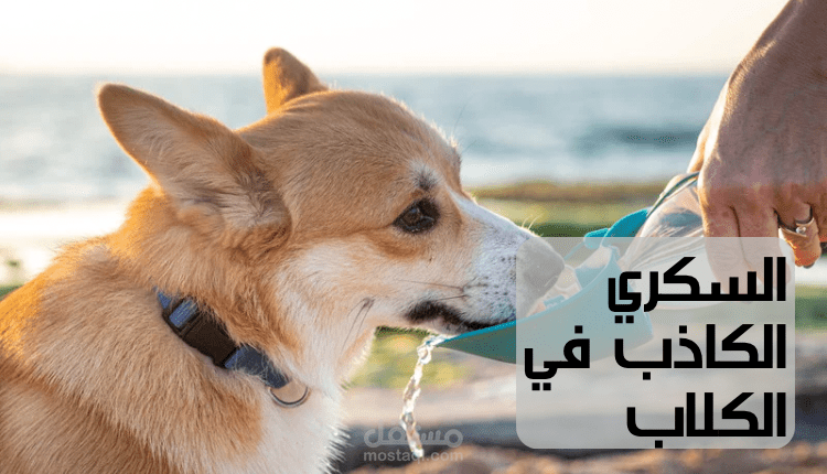 كتابة مقال عن الكلاب
