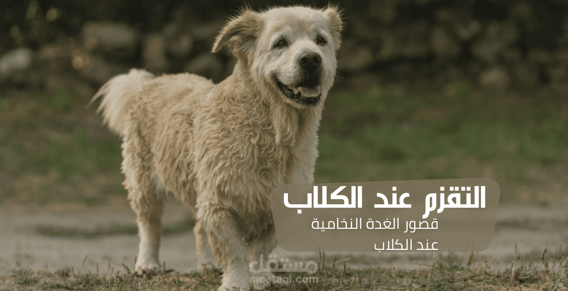 كتابة مقال عن أمراض الكلاب