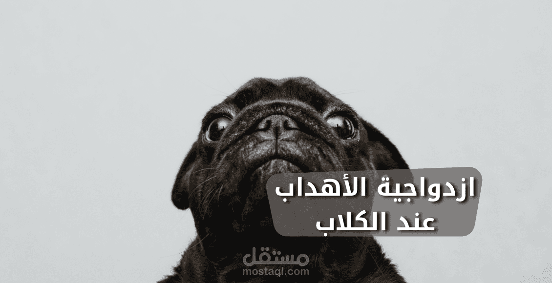 كتابة مقال متوافق مع قواعد السيو