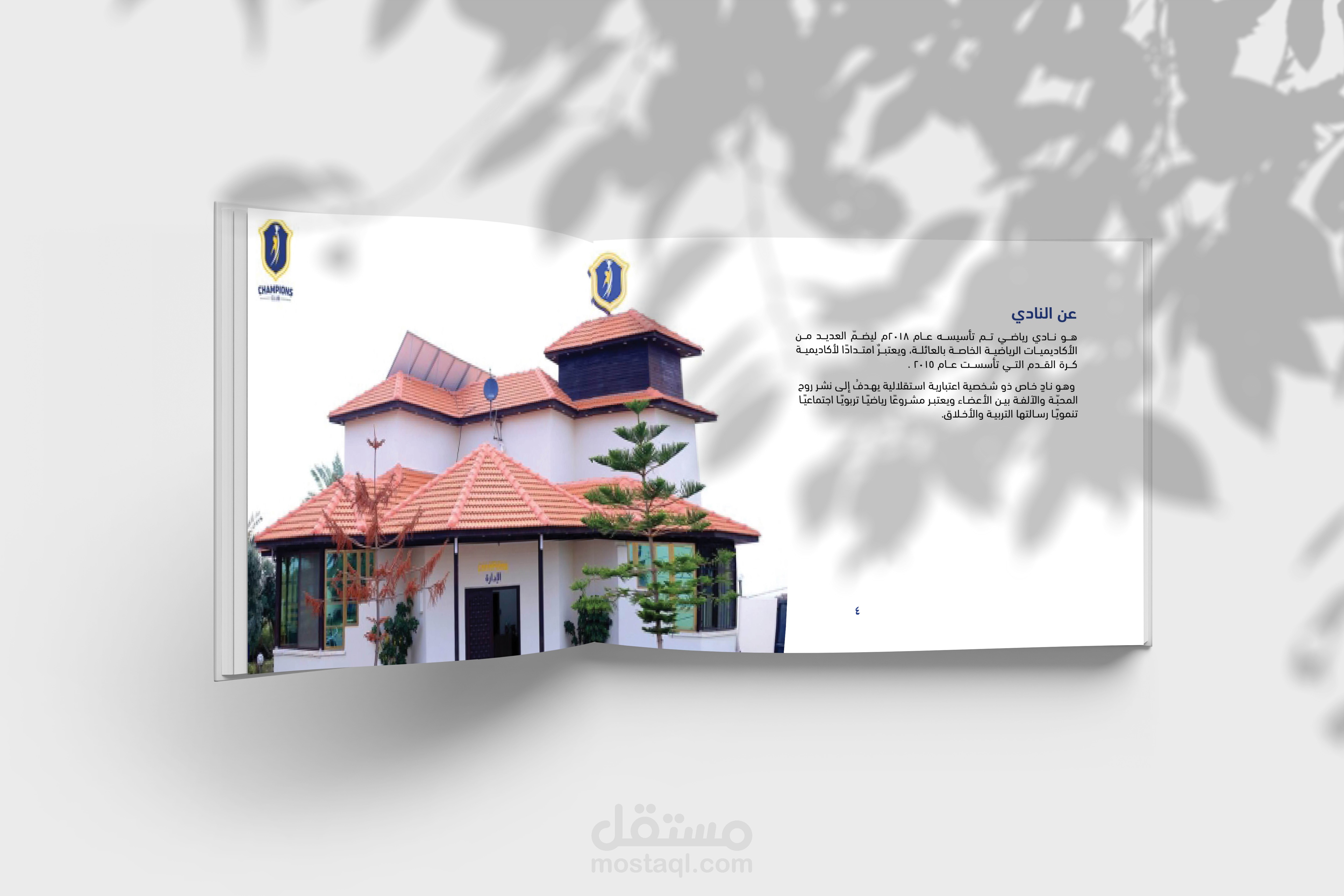 بروفايل شركة
