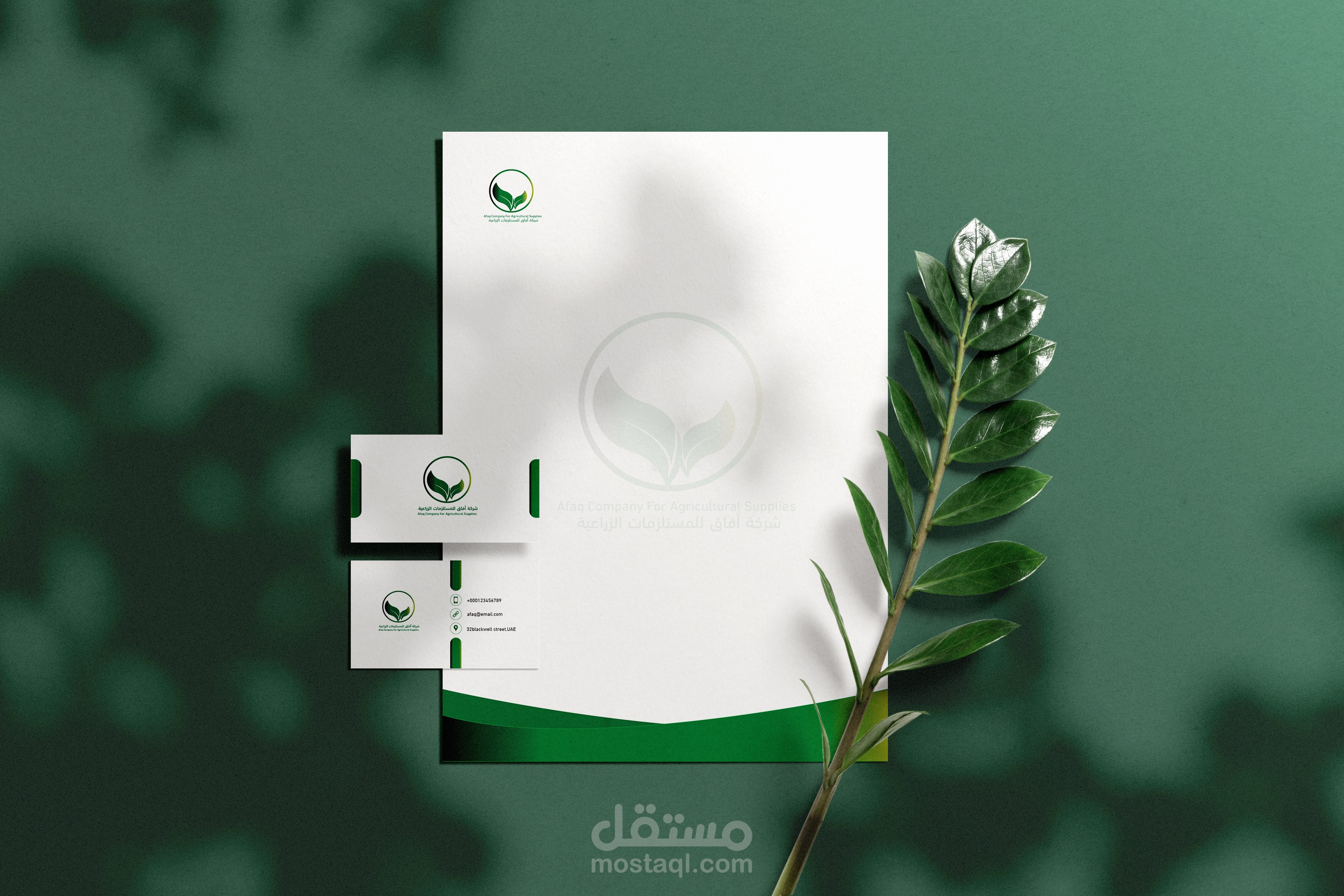 تصميم هوية بصرية optical identity