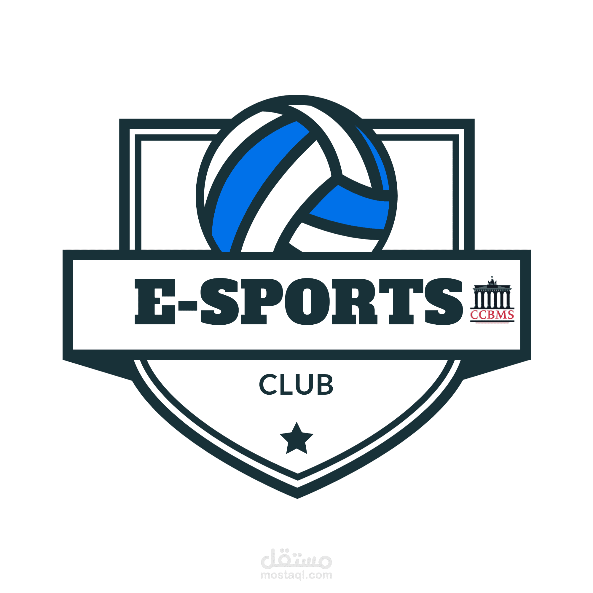 شعار لمدرسة رياضية مع الوان و موصفات مختلفة