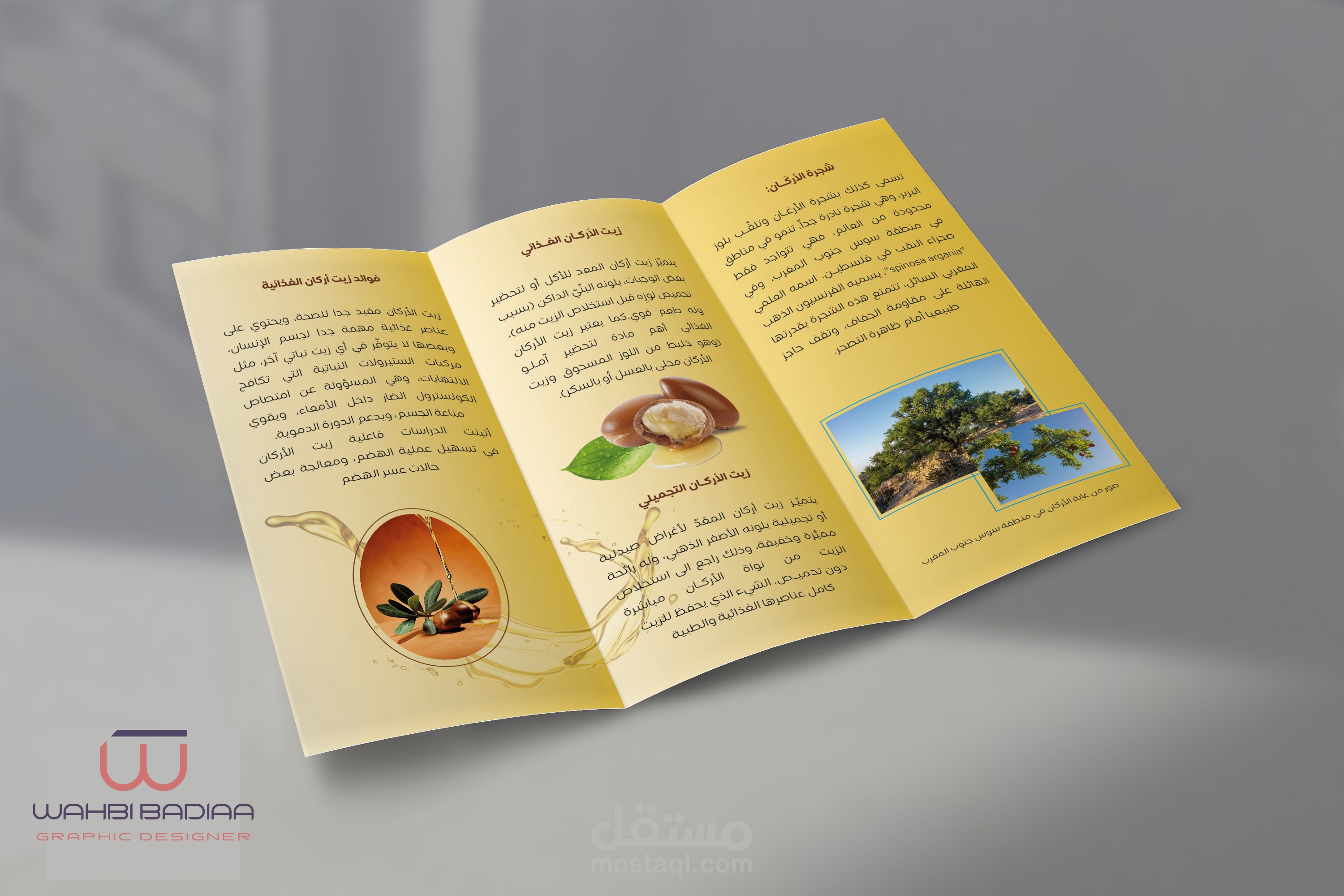 تصميم بروشور