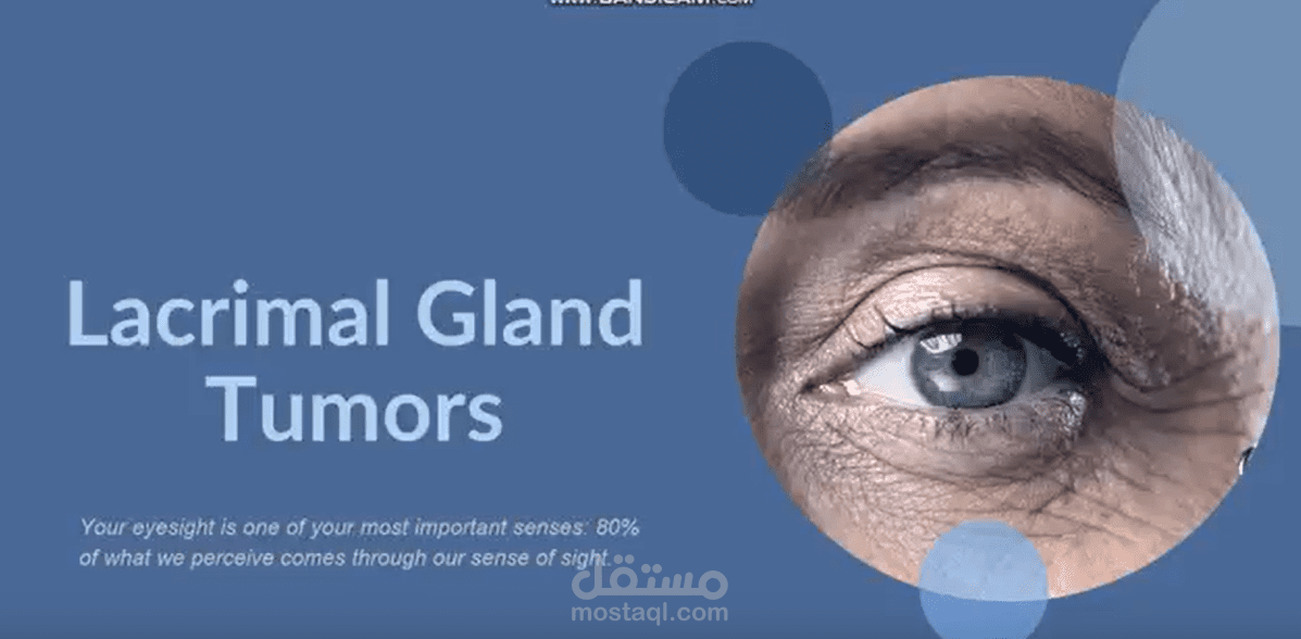 باوربوينت 3