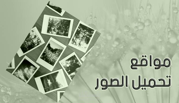 مواقع تحميل الصور، تعرف على أشهر المواقع الإلكترونية لتنزيل الصور