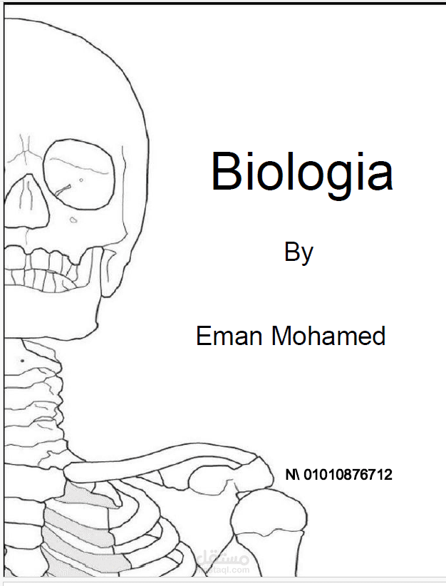 كتابة تقارير تقنية أكاديمية ومنظمة بدون استخدام الذكاء الاصطناعي مع الحفاظ على نسب الاقتباس