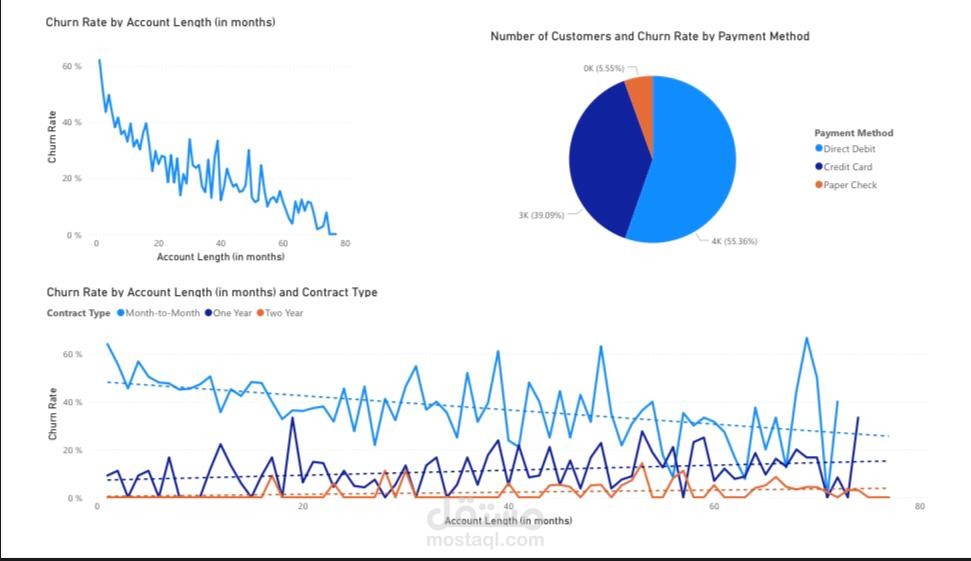تحليل البيانات وإعداد التقارير ولوحات المعلومات.