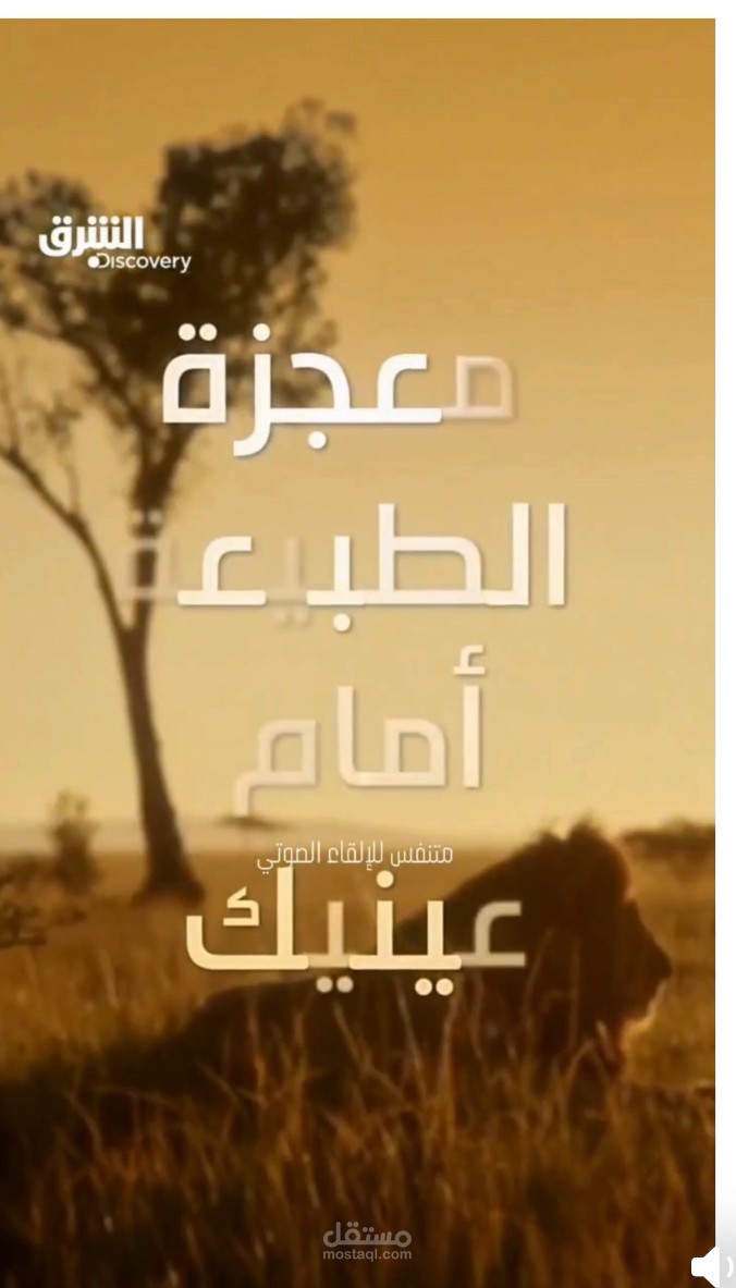 برومو وثائقي