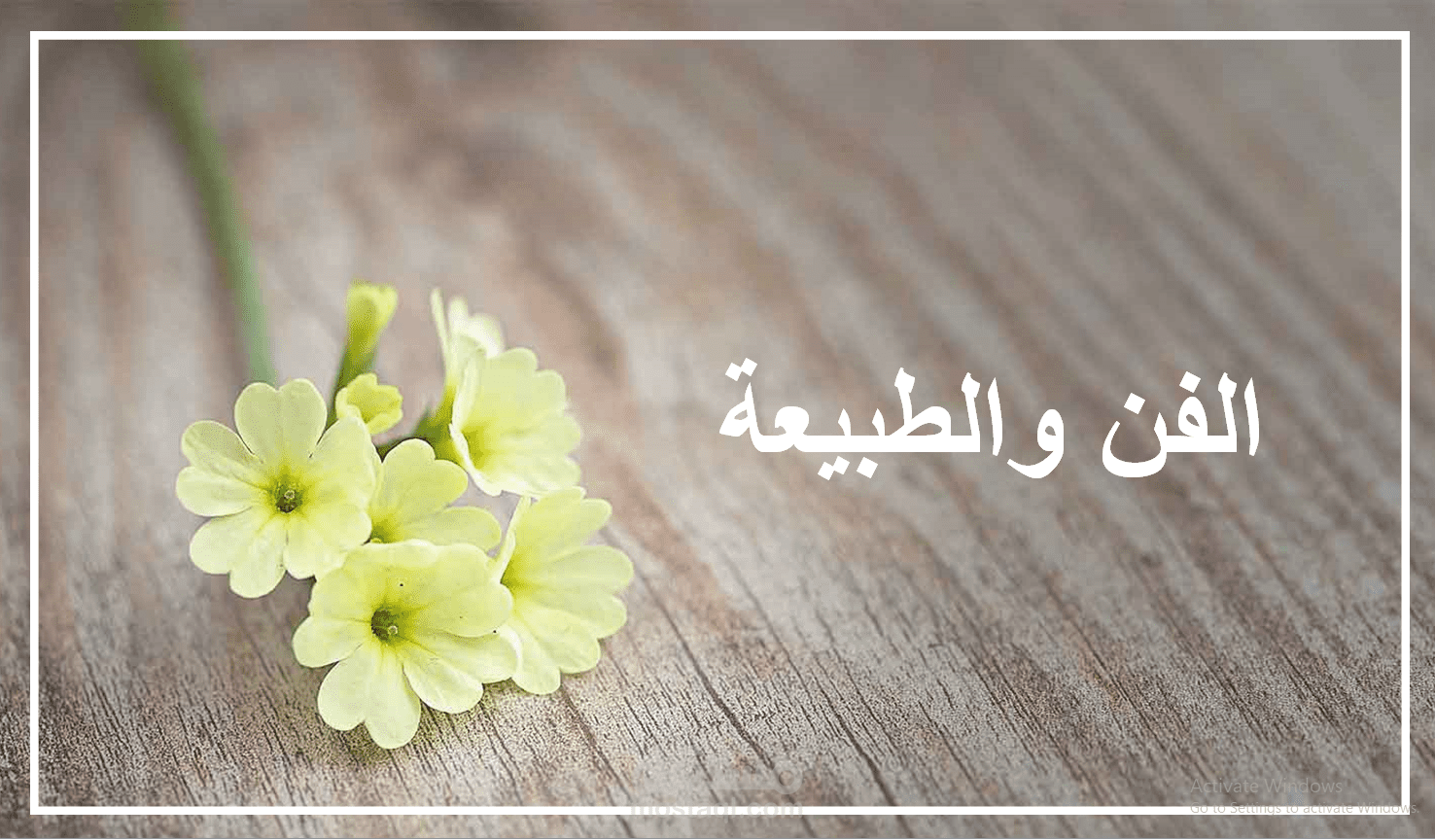 عرض تقديمي