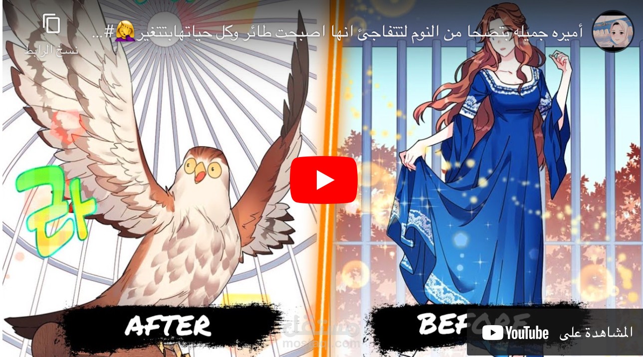 تلخيص مسلسلات إنمي على قناة ملخصات باليوتيوب.