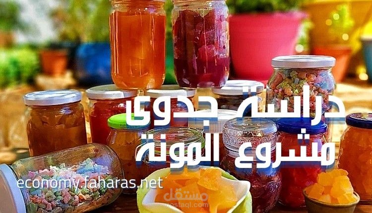 مقال عن دراسة جدوى مشروع تخزين الأطعمة الاستثماري؛ و 4 مراحل تطور فيها