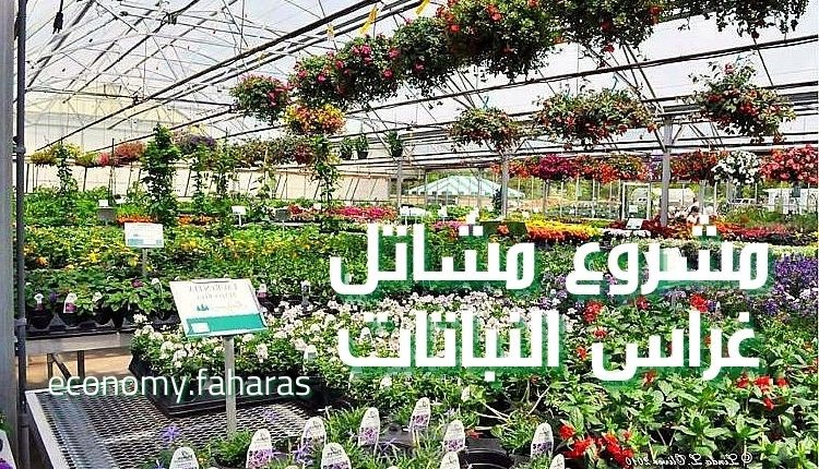 مقال عن جدوى دراسة مشروع مشاتل غراس النباتات؛ وأهم 11 نوع مشاتل زراعية