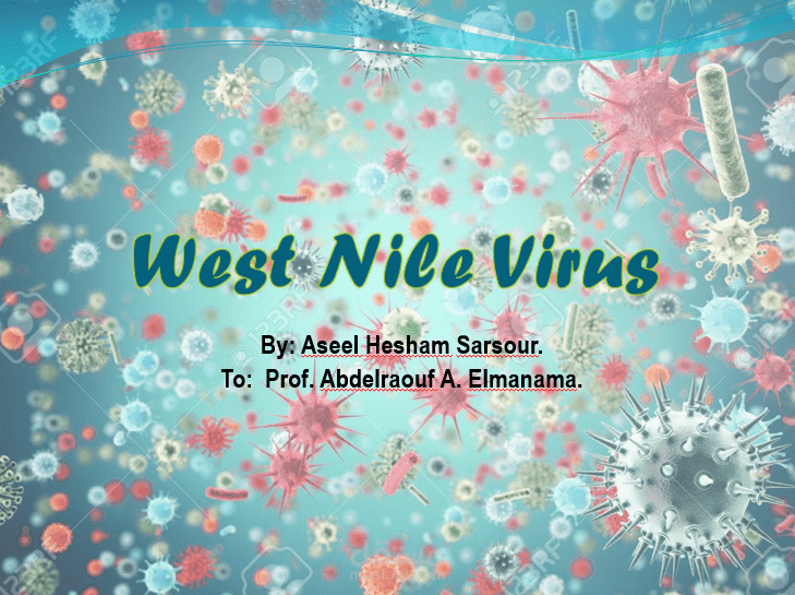 كتابة محتوى وإعداد عرض بوربوينت عن فيروس غرب النيل West Nile Virus