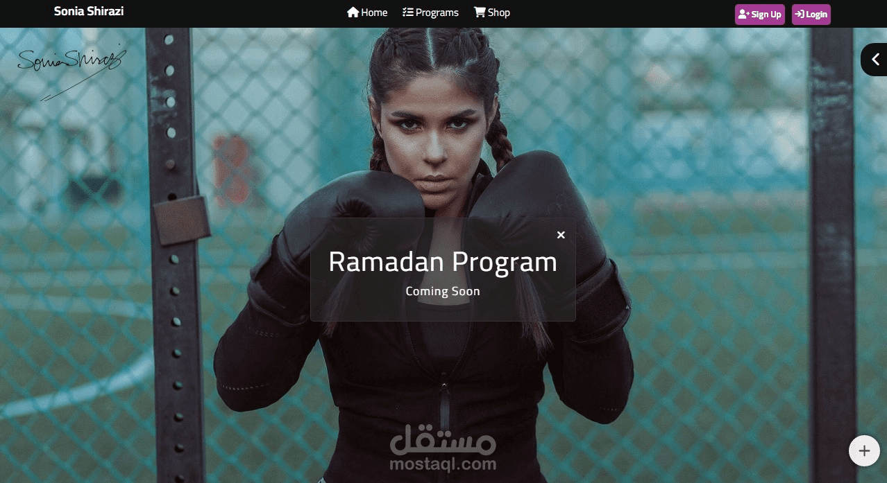 sonia shirazi website