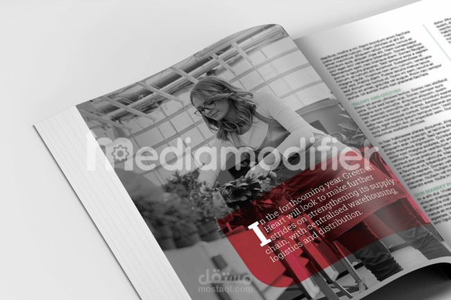 تصميمات مختلفة )كتب- تقارير - فلاير - مذكرة - مج - ختم (