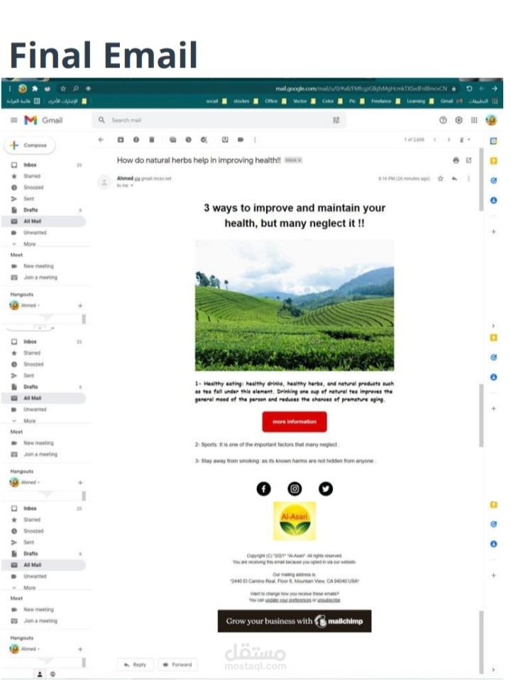التسويق عبر البريد الالكتروني Email Marketing