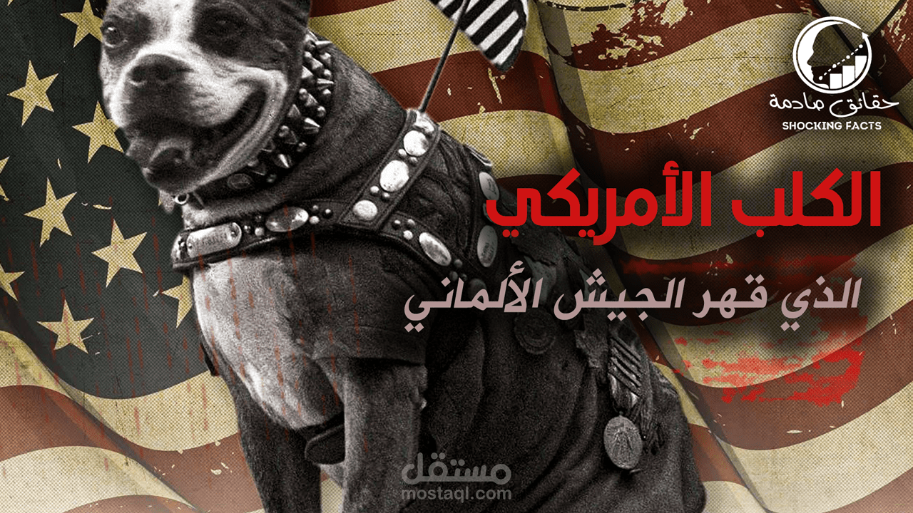 أنقذ كتيبته و أسهم في إنتصار الفرنسيين على الألمان. تعرف على قصة الكلب الرقيب ستابي