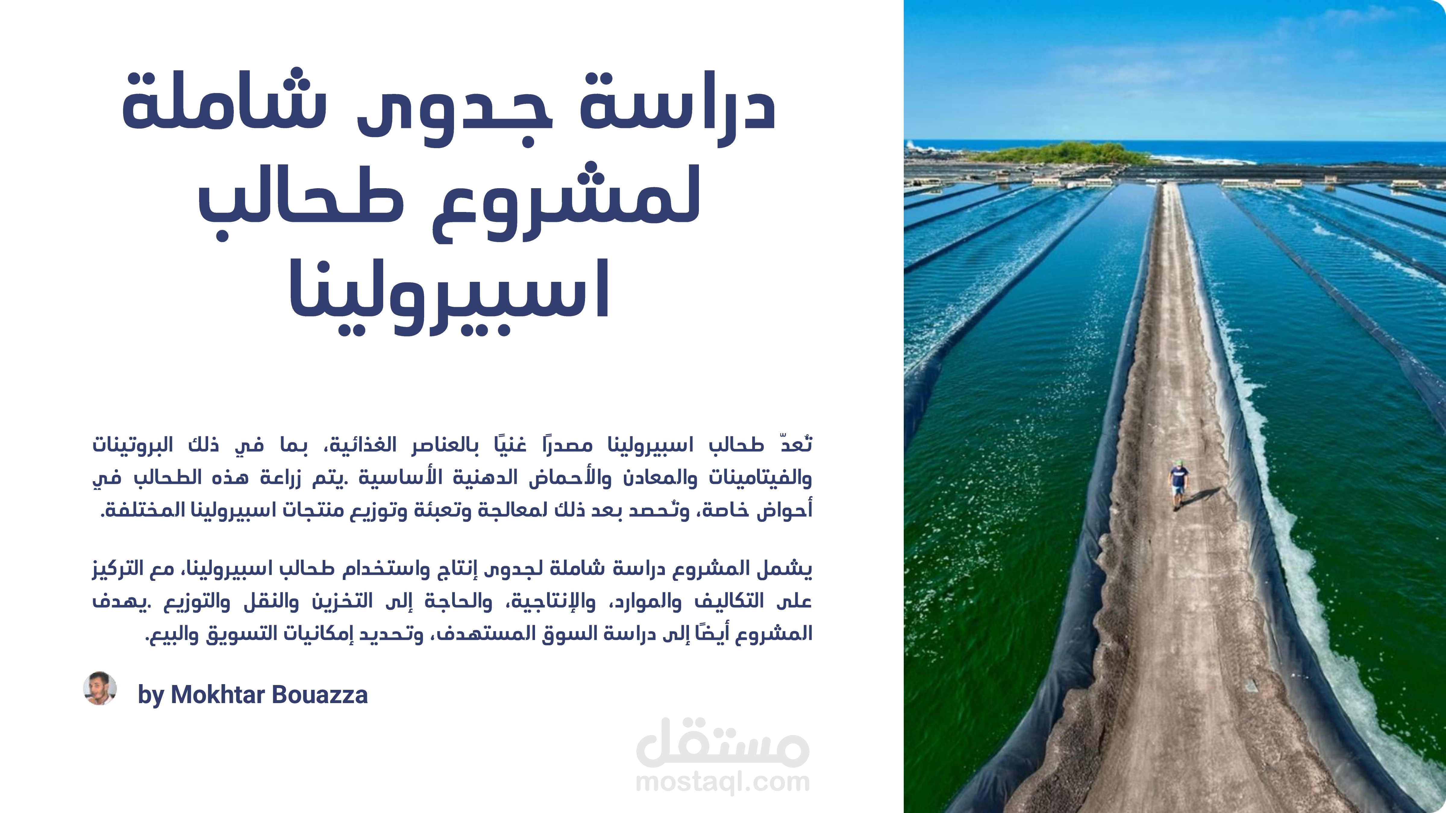 دراسة جدوى شاملة لمشروع طحالب اسبيرولينا