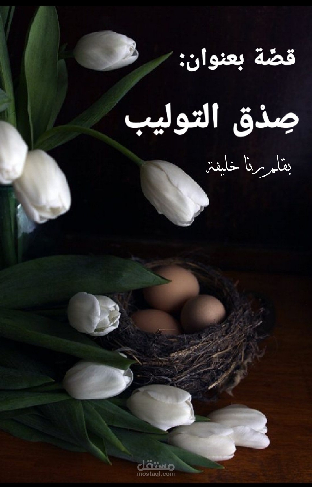 سيناريو و حوار و قصص معبرة