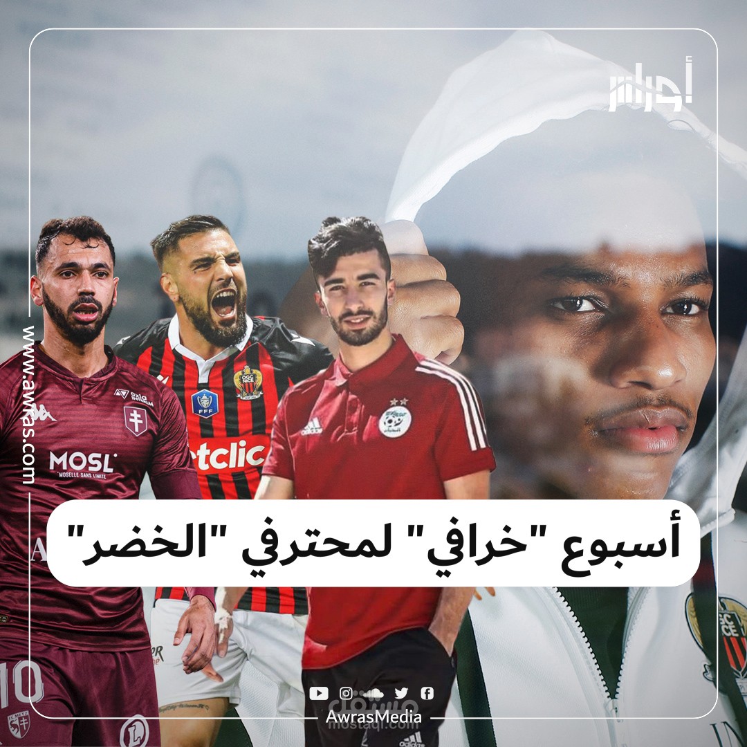 فيديو  رقمي