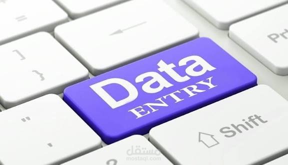 مدخل بيانات