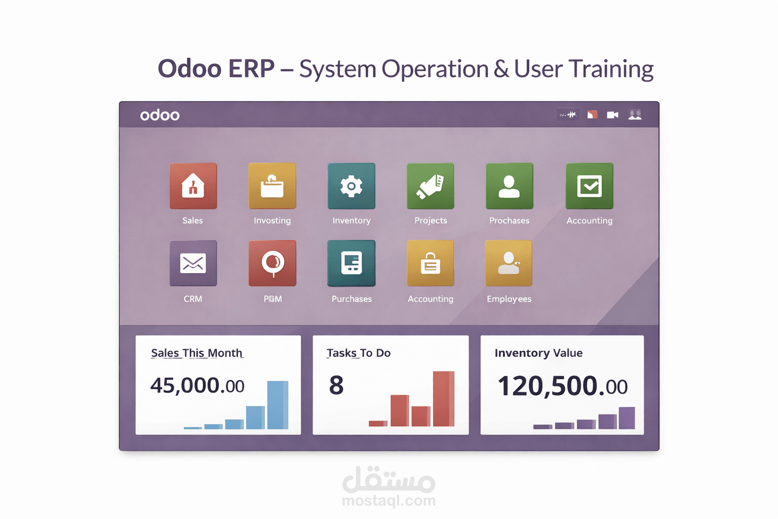 Odoo ERP – System Operation & User Training