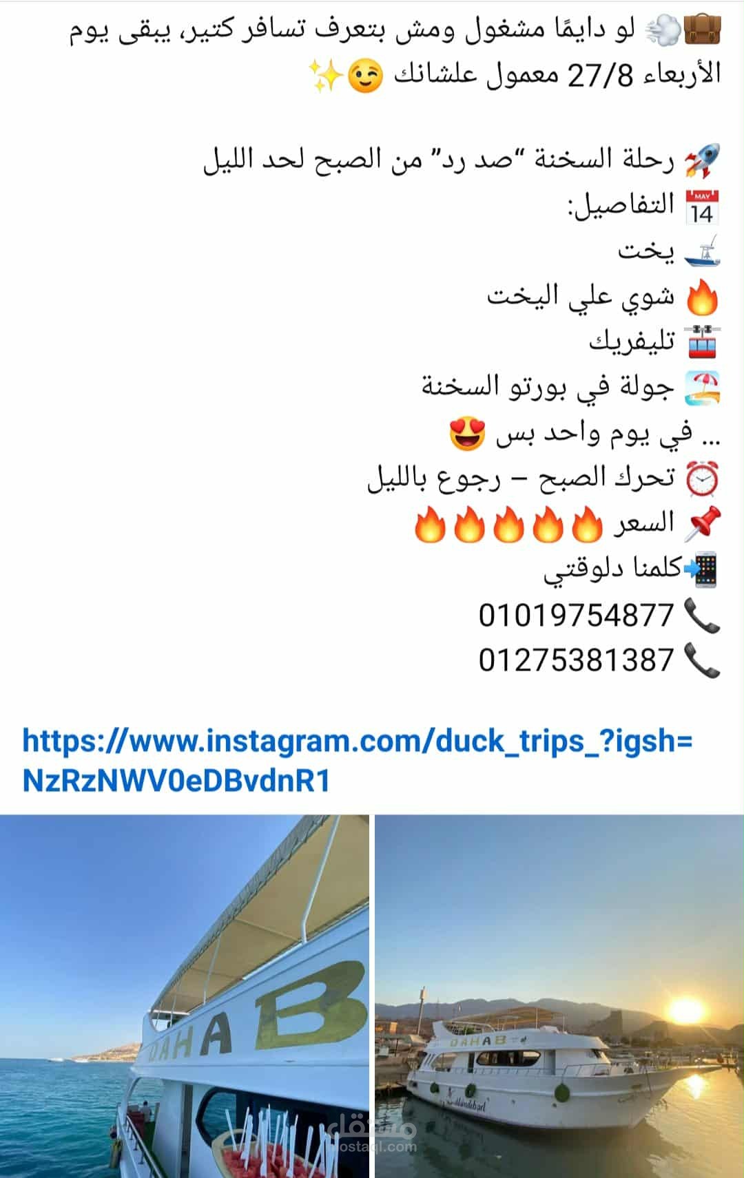 بوست لشركة سياحة داخلية بمصر