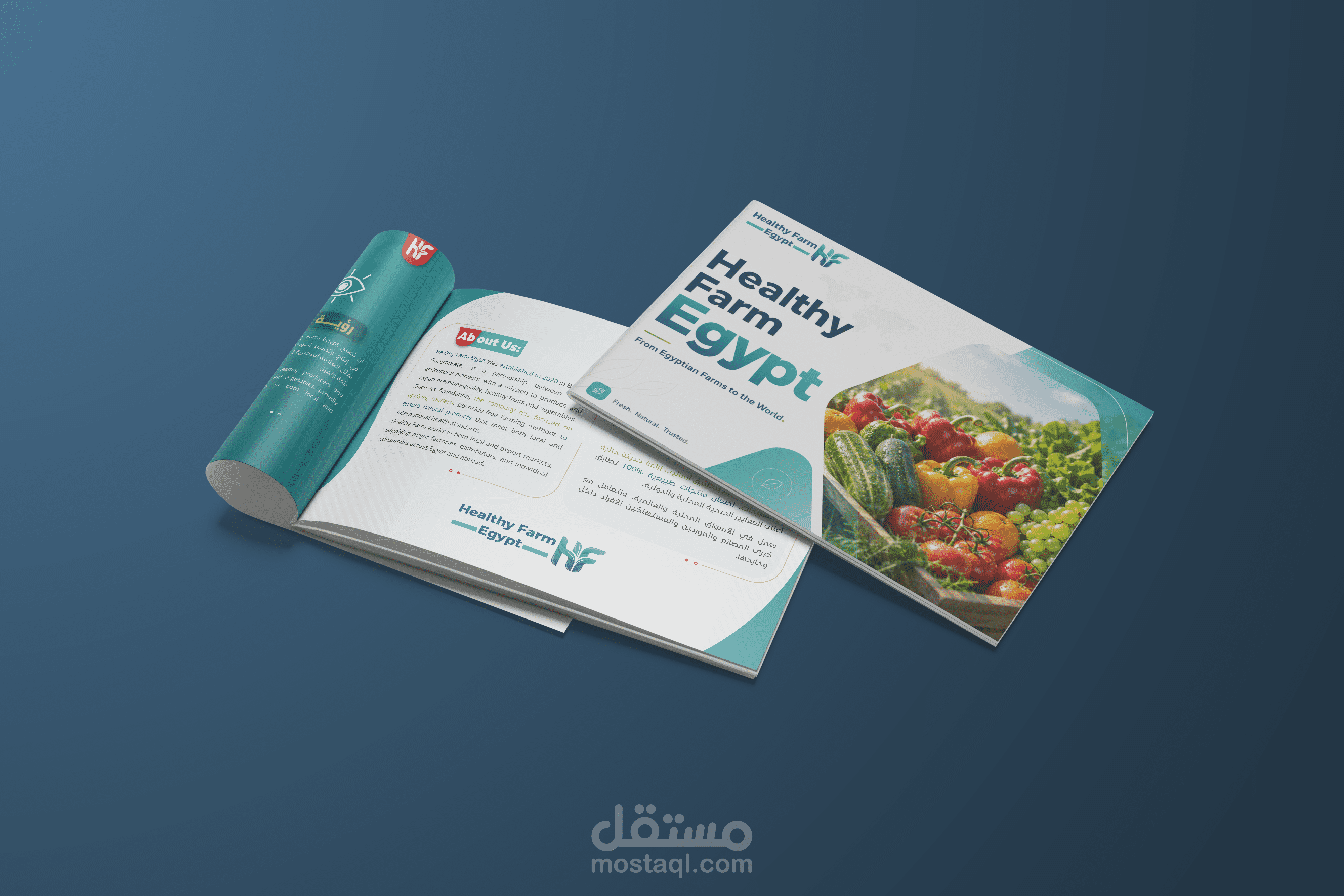 تصميم بروفايل تعريفي متكامل وبأعلى جودة لشركة