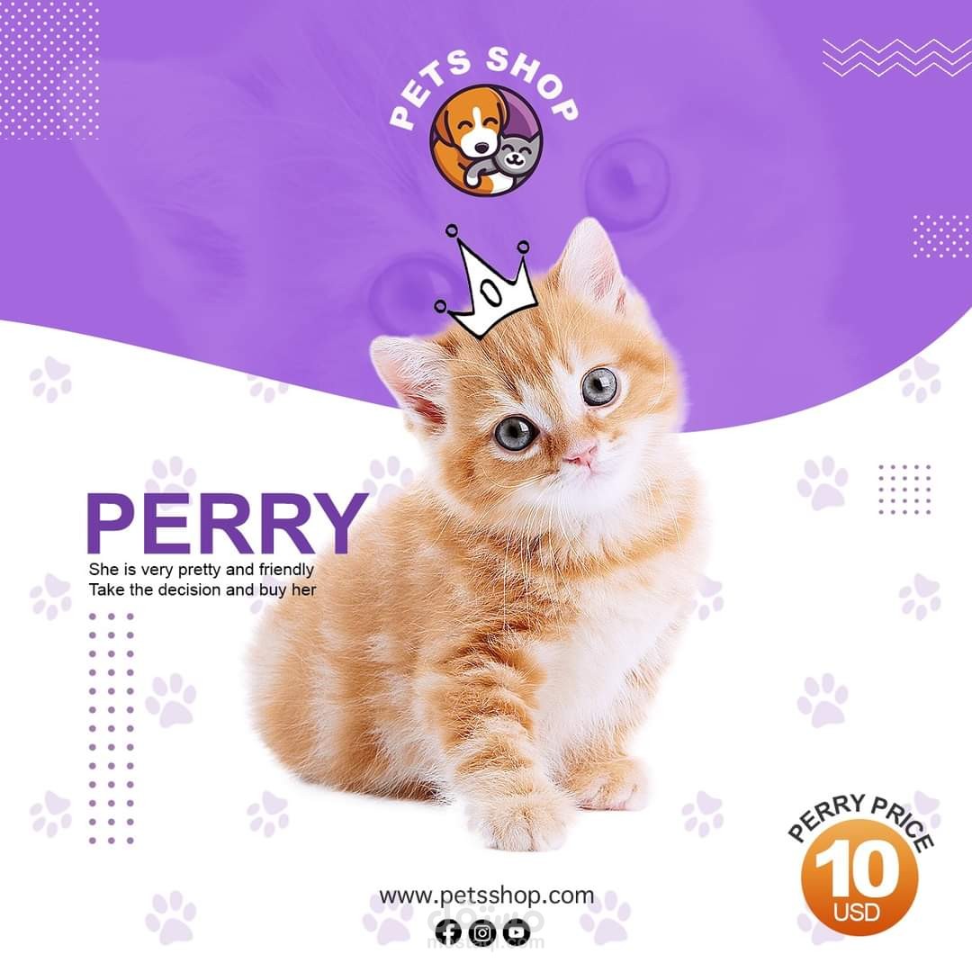 تصميم ابداعية احترافية