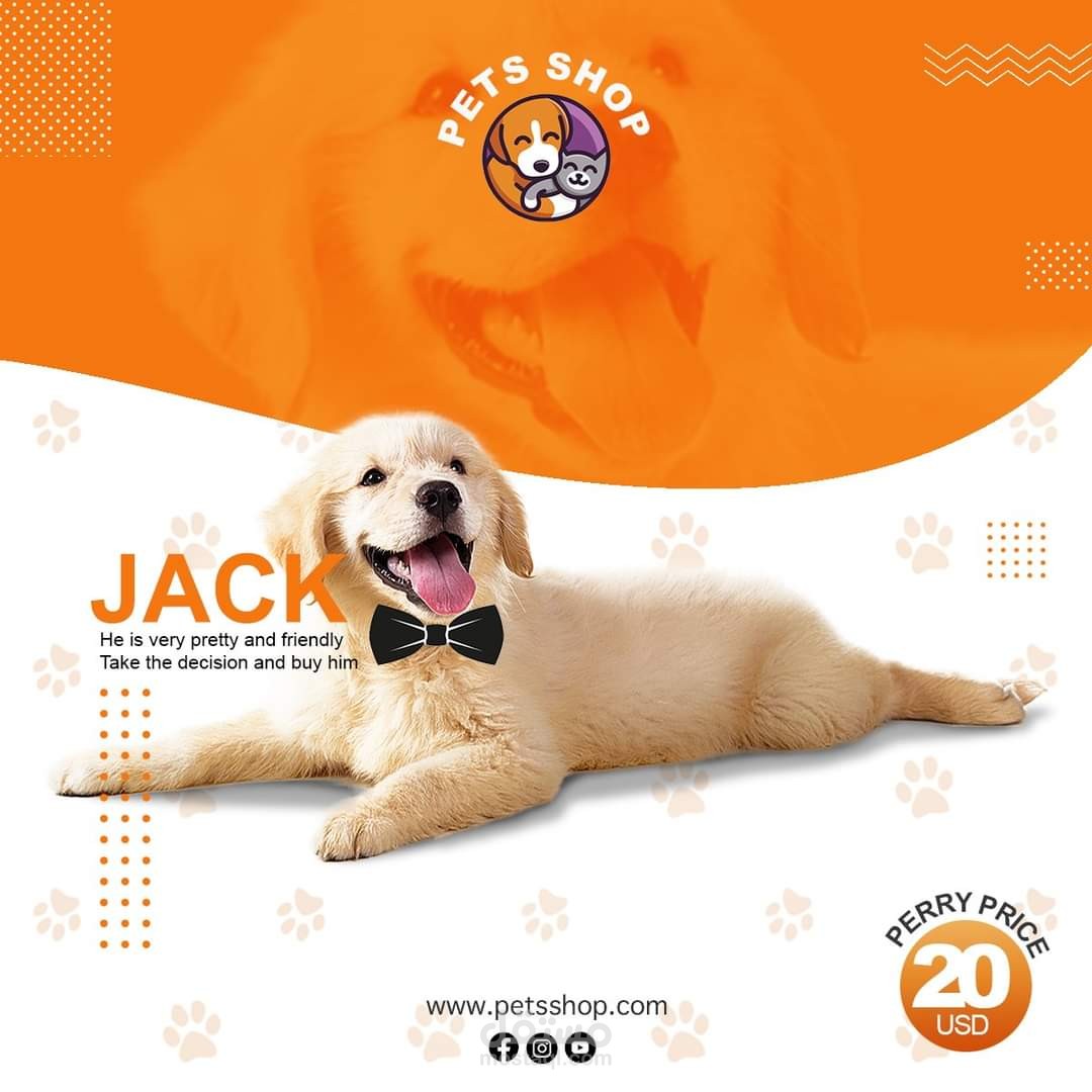 تصميم  احترافي