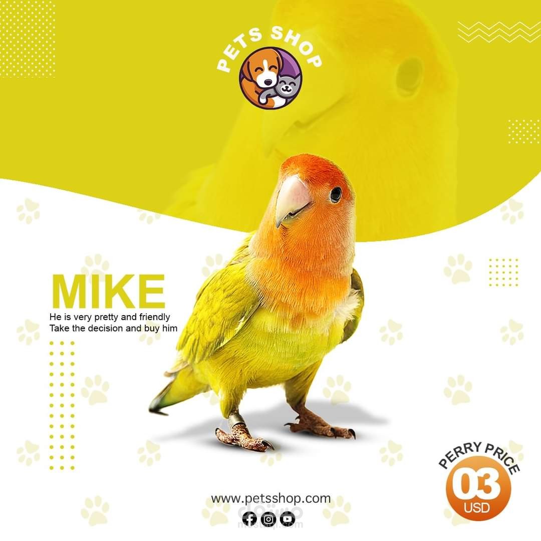 تصميم ابداعية