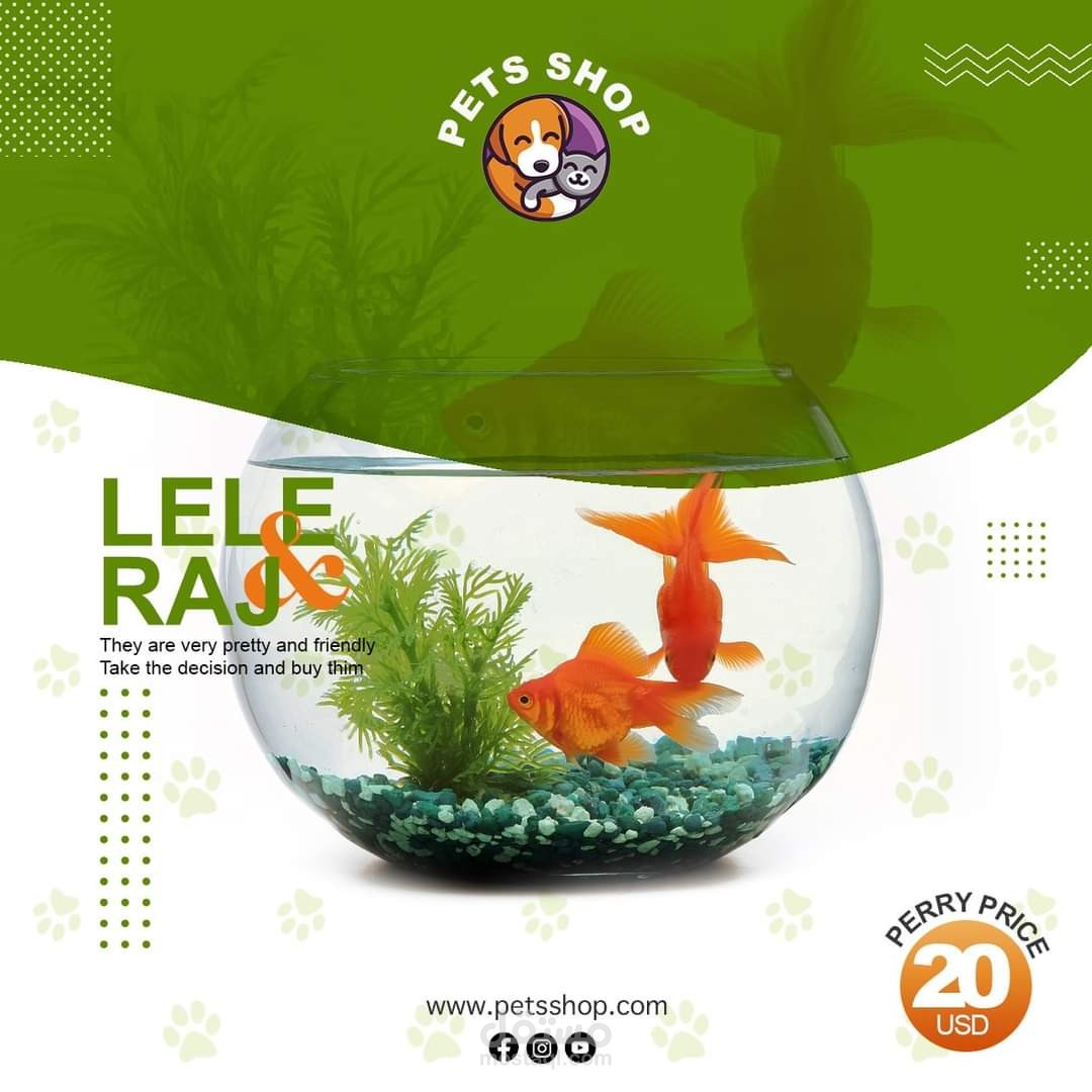 تصاميم  انستقرام