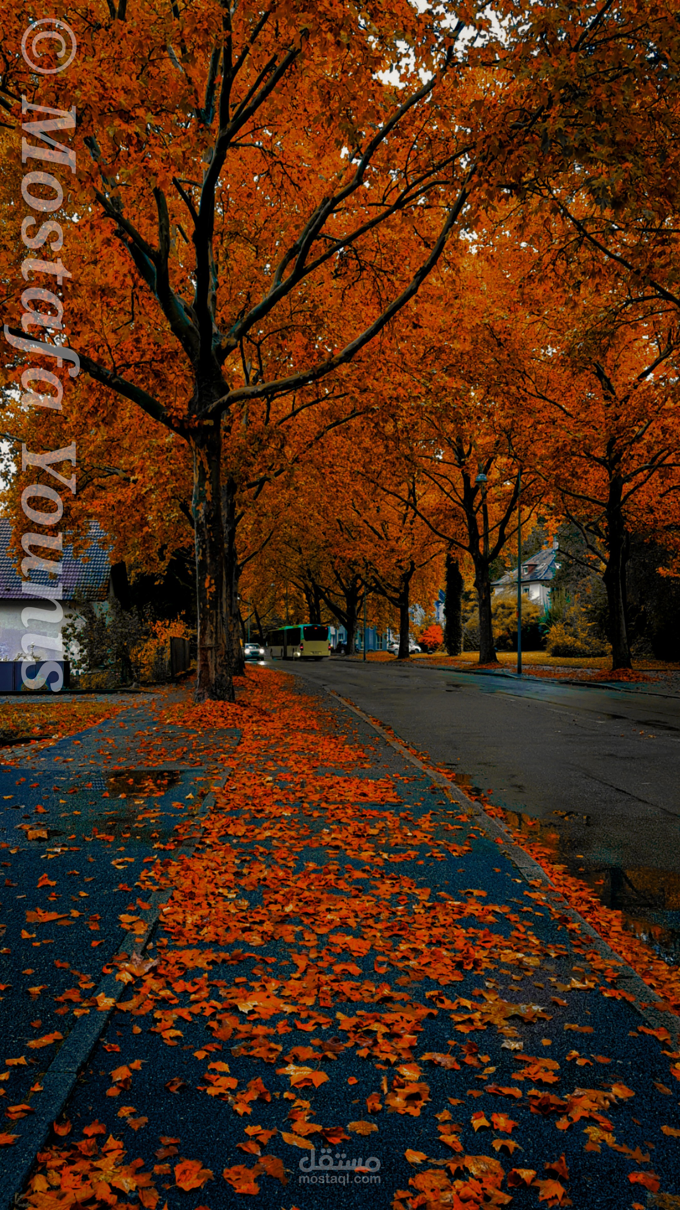 صورة تعبيرية عن فصل الخريف