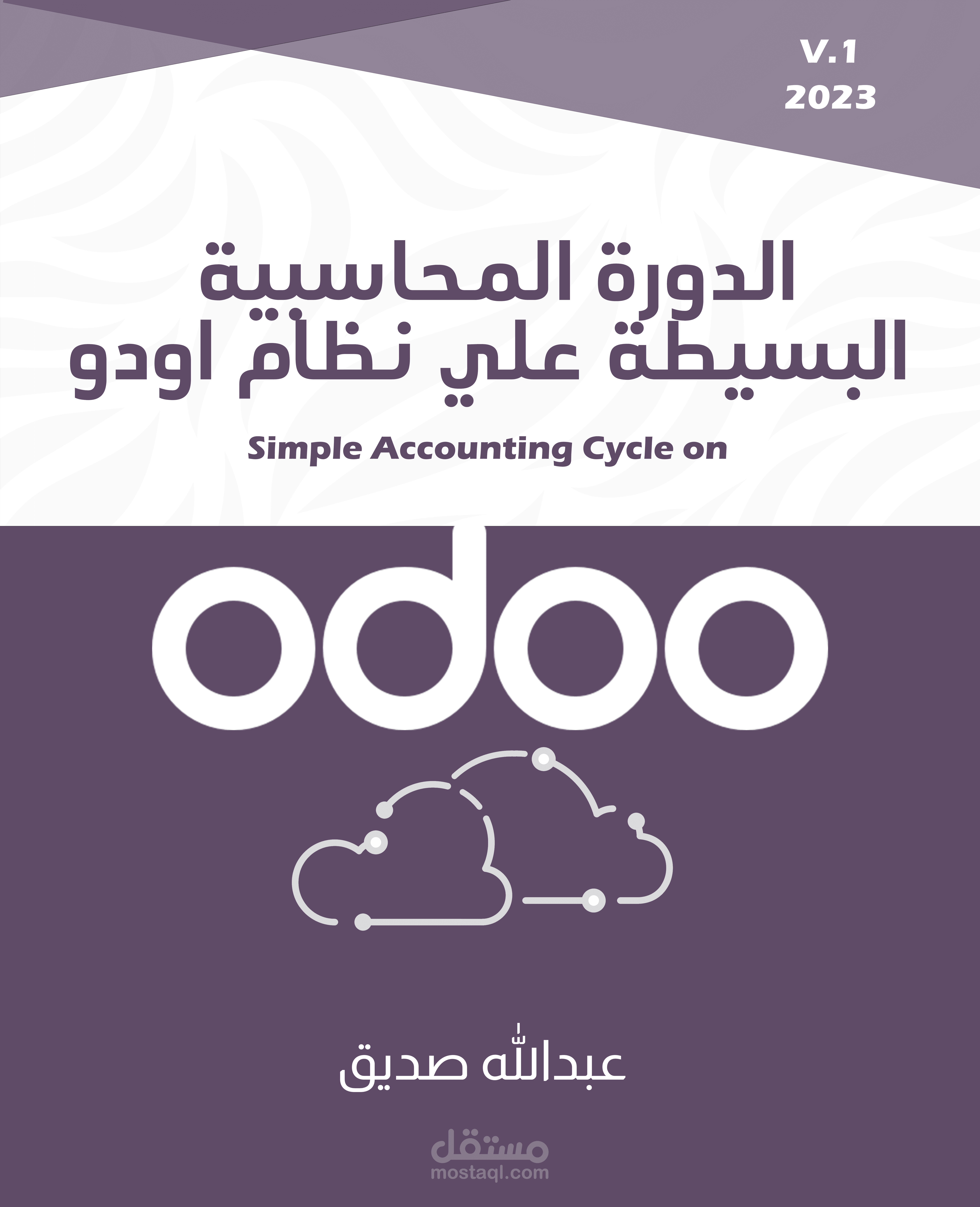 خبير نظام اودو Odoo