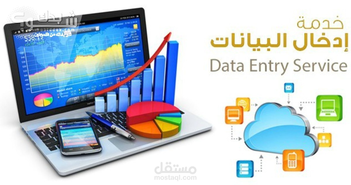 إدخال البيانات