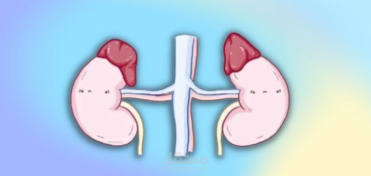 مقال عن: متلازمة ووترهاوس فريدريكسن