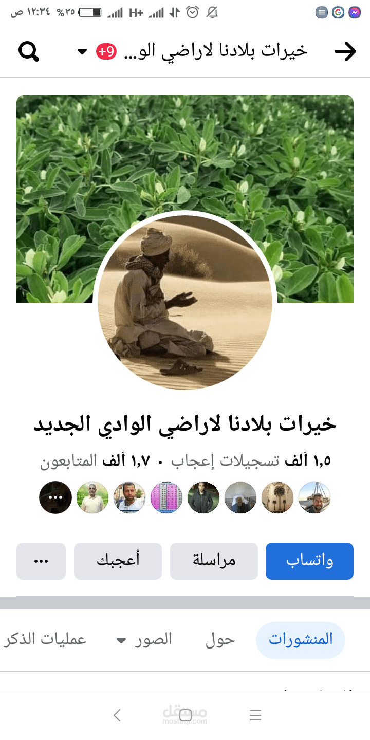 إدارة محتوى صفحه خيرات بلادنا لأراضي الوادي الجديد لدى مكتب الوافي للاستشارات الزراعية واستصلاح الأراضي وتأسيس المزارع