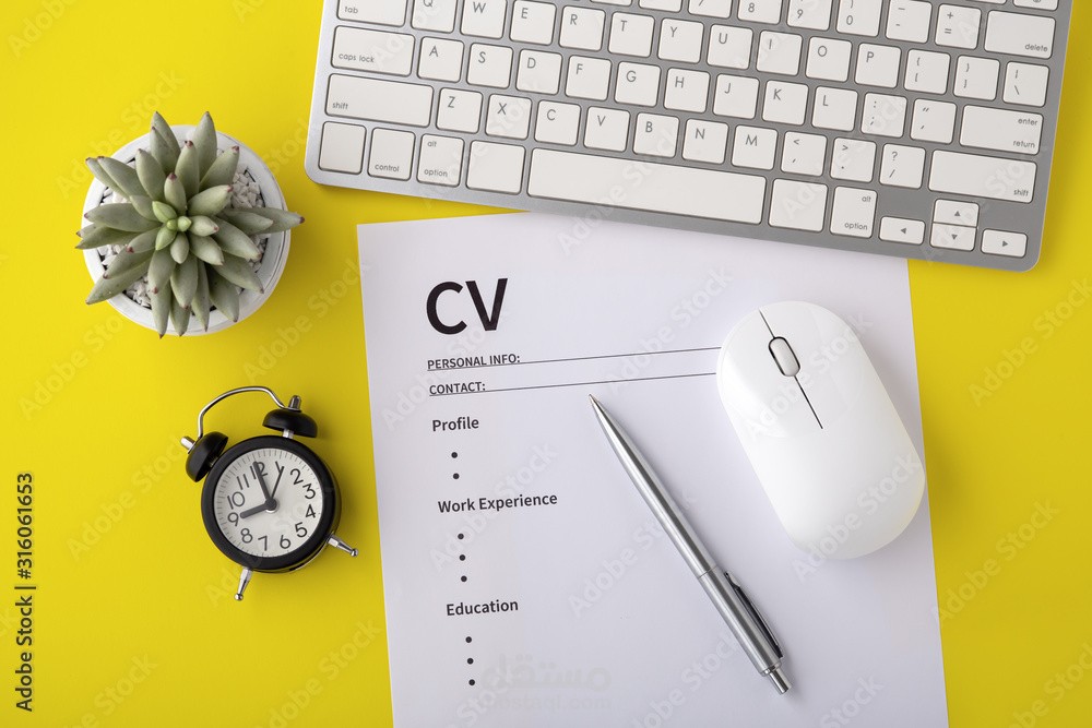 تصميم CV إحترافي + رسم الشخصيات