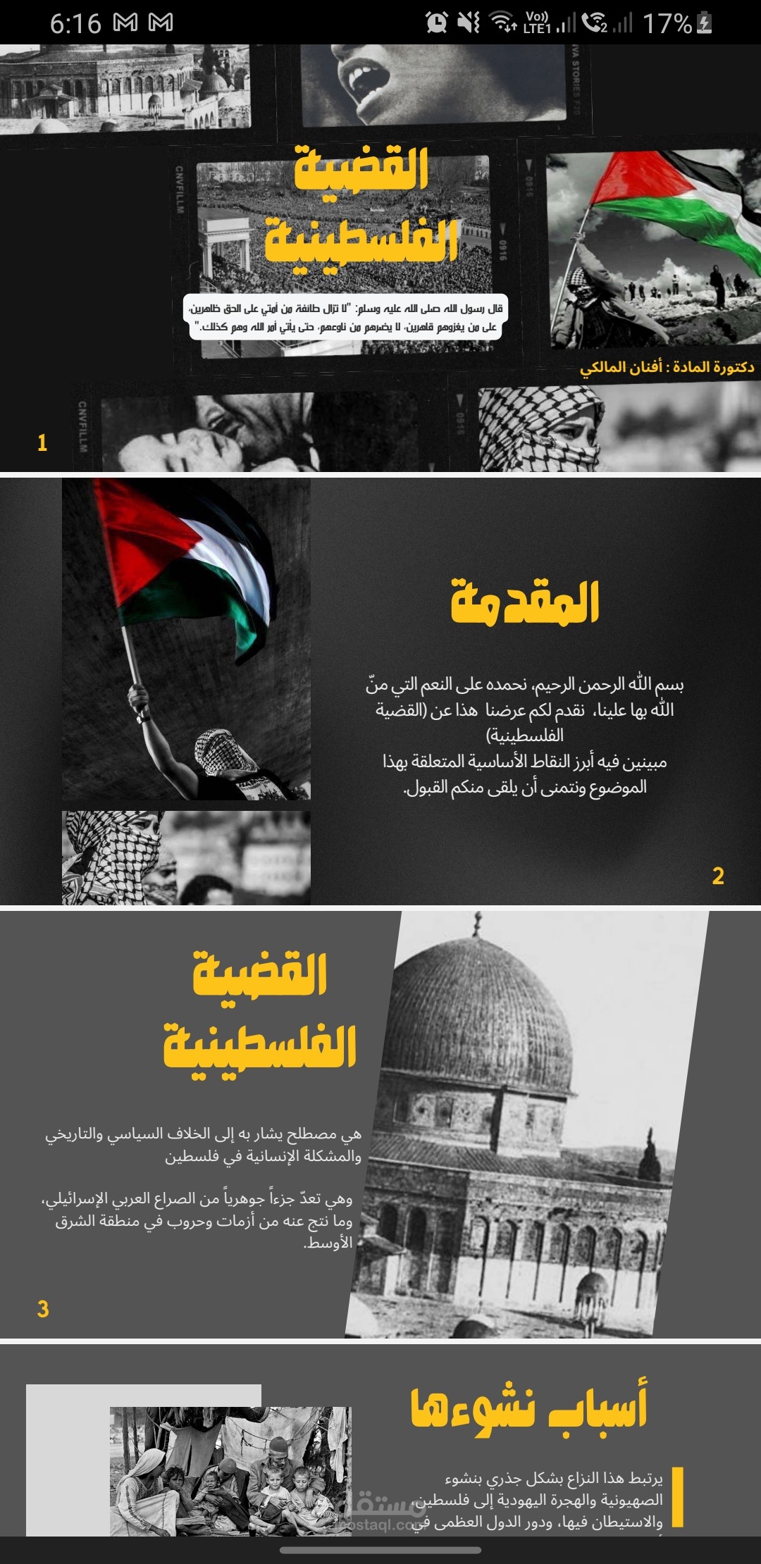 برزنتيشن عن القضية الفلسطينيه