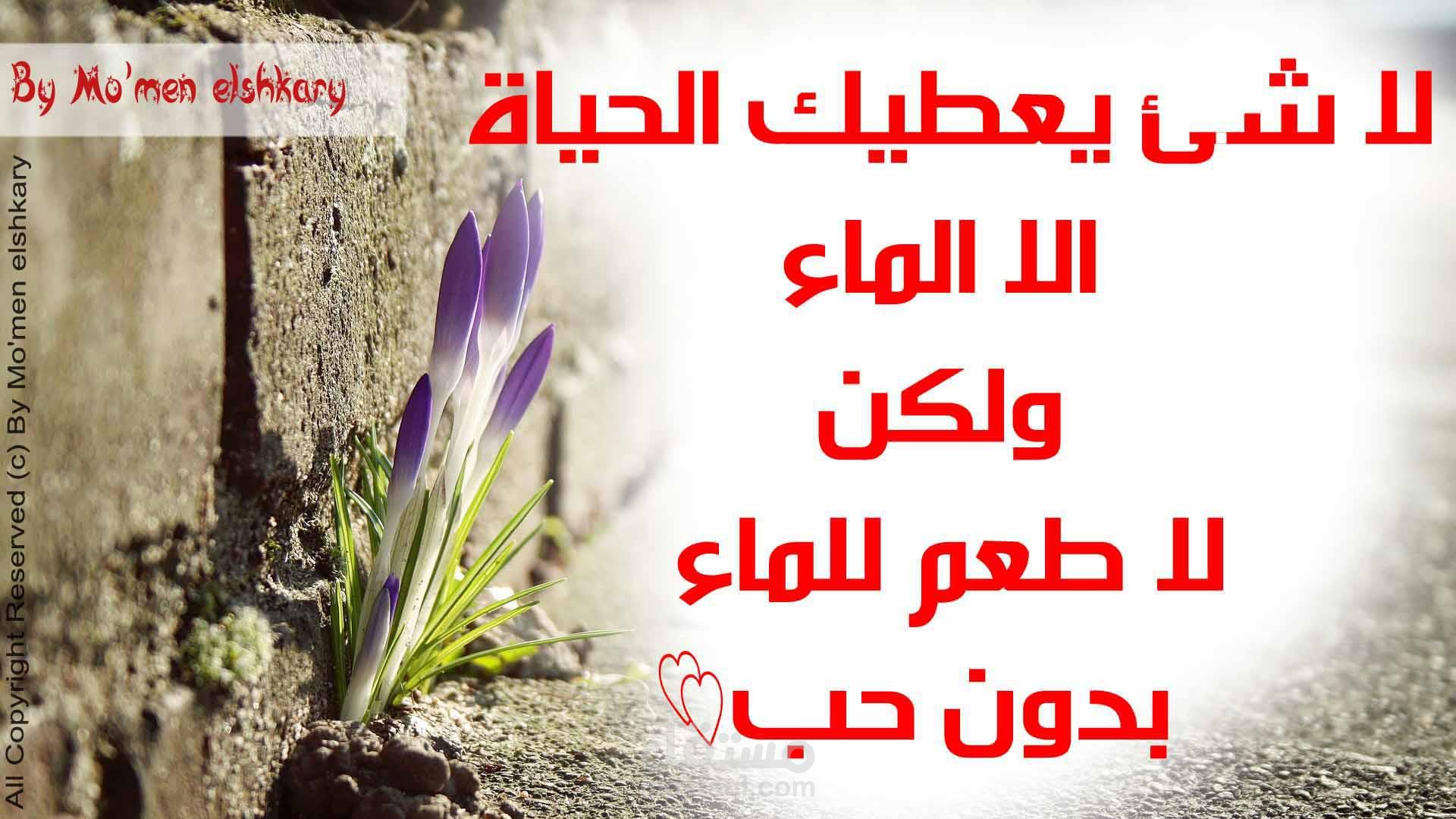 الأقصر