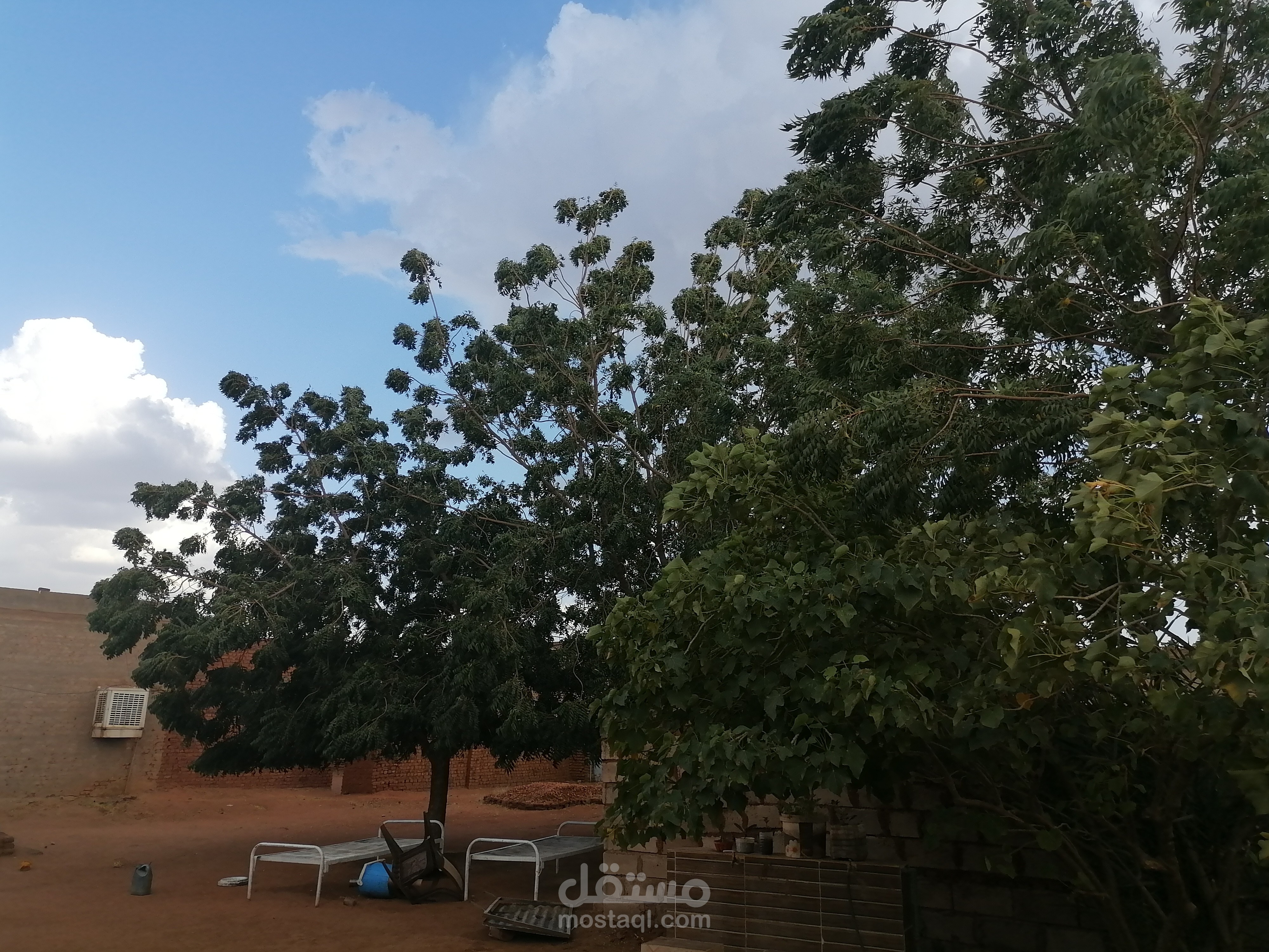 ضيف غير مرغوب به