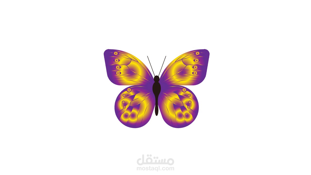 فيديو موشن جرافيك