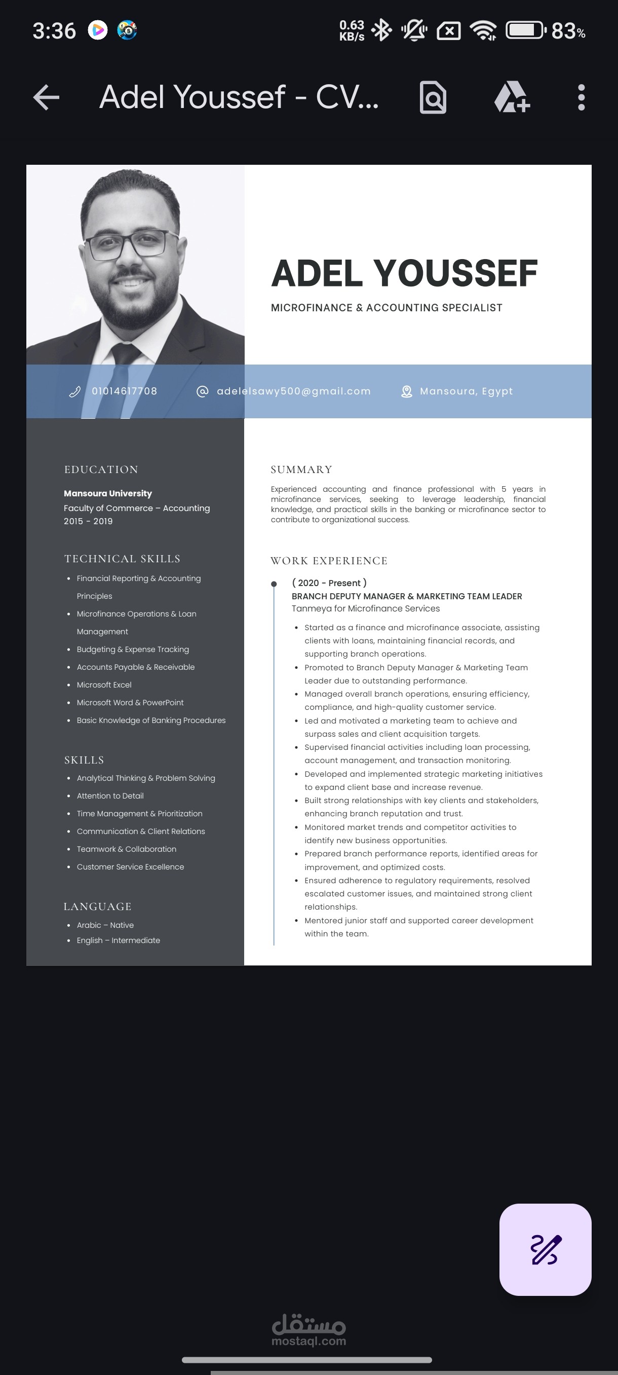 CV professional